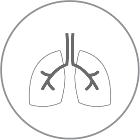 Icon of lung