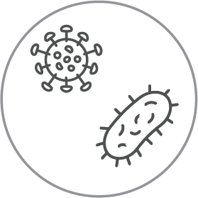 Icon of a virus and bacteria